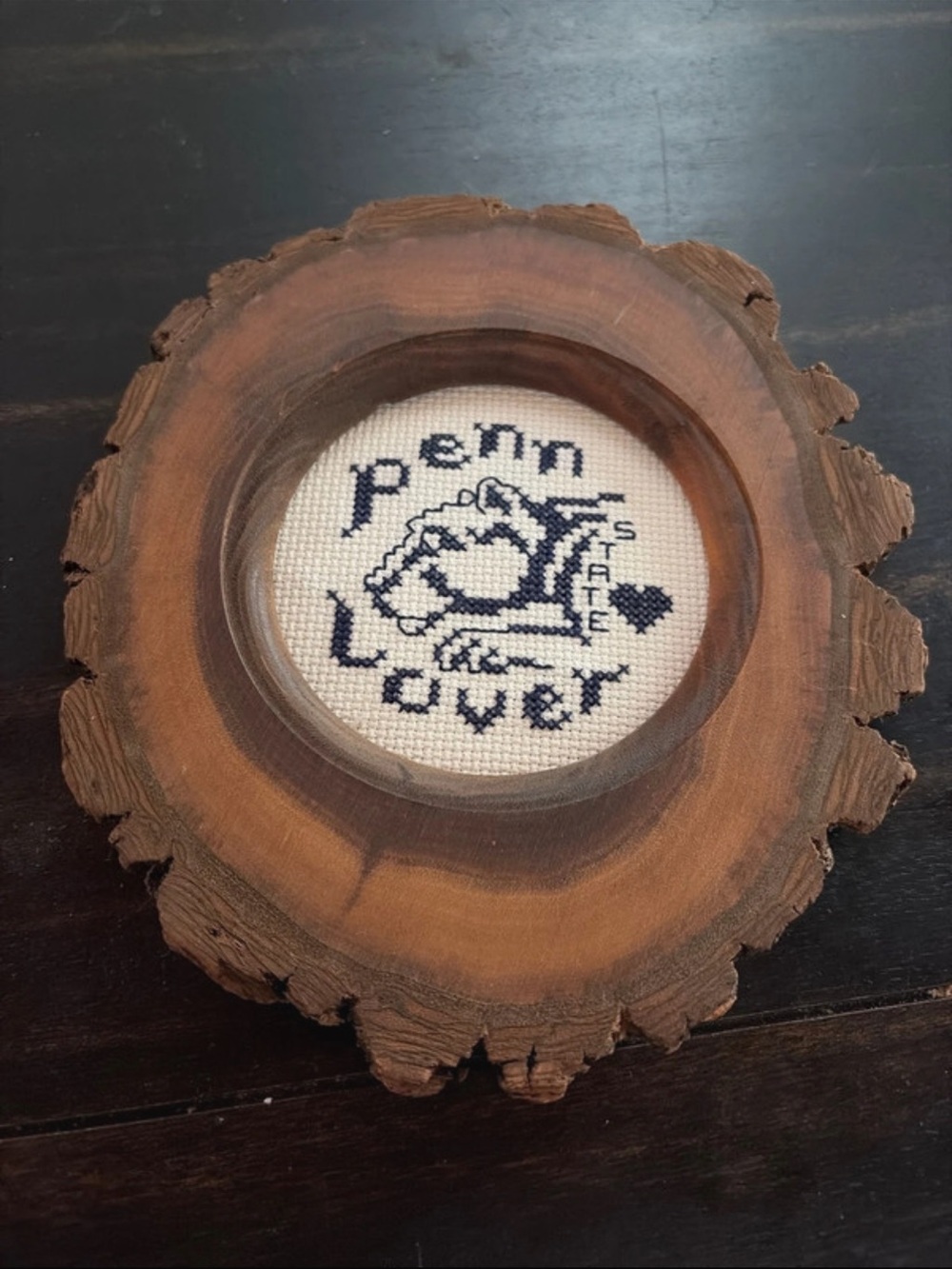 Vintage Penn State Needlepoint Wall Art